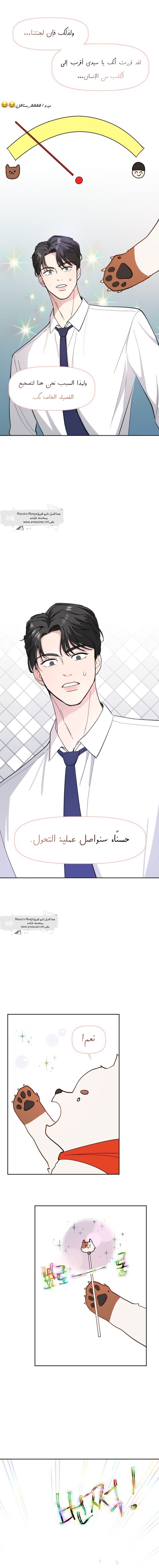 Read How to Hold X’s Leash ar Manga Online