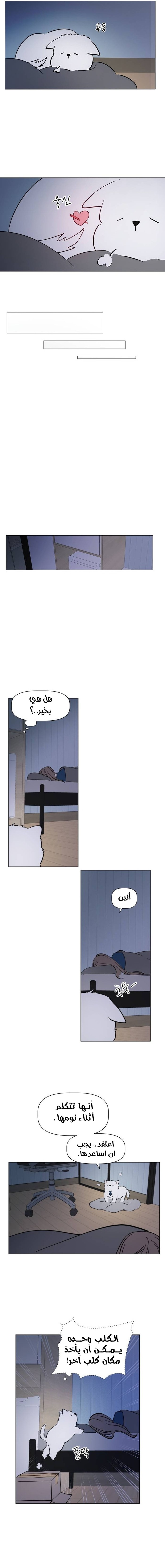 Read How to Hold X’s Leash ar Manga Online