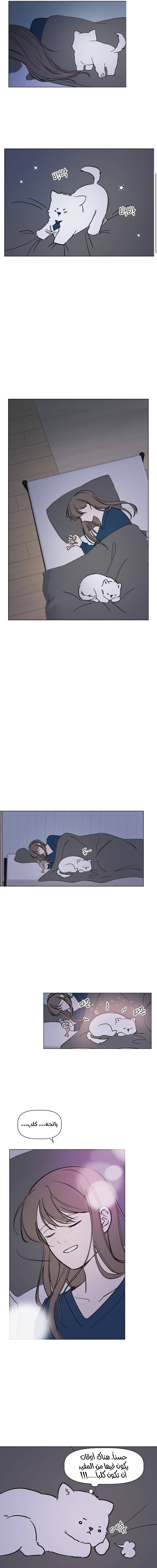 Read How to Hold X’s Leash ar Manga Online