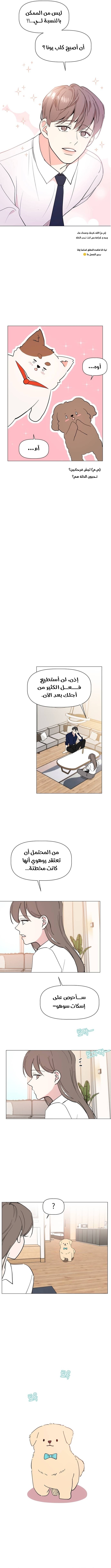 Read How to Hold X’s Leash ar Manga Online