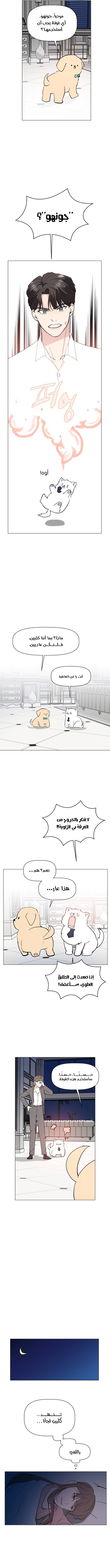 Read How to Hold X’s Leash ar Manga Online