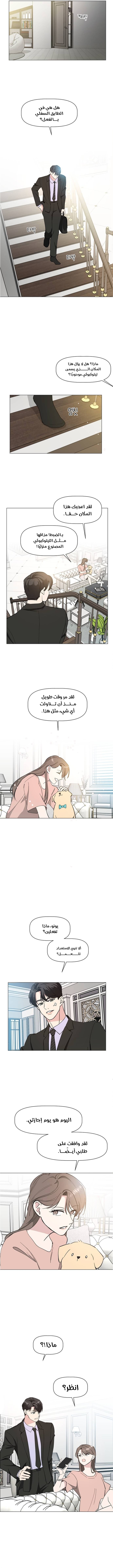 Read How to Hold X’s Leash ar Manga Online