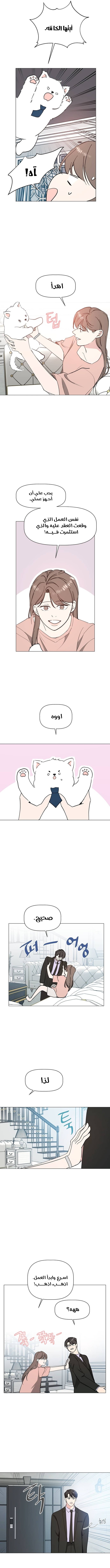 Read How to Hold X’s Leash ar Manga Online