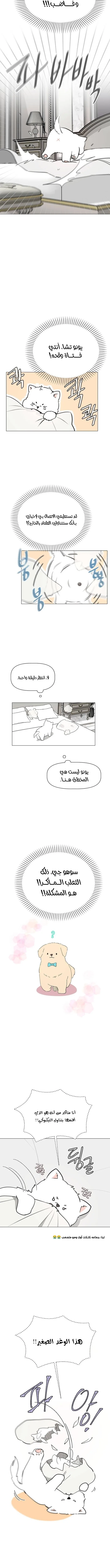 Read How to Hold X’s Leash ar Manga Online