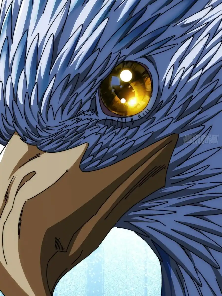 Read Infinite Evolution From Scratch ar Manga Online