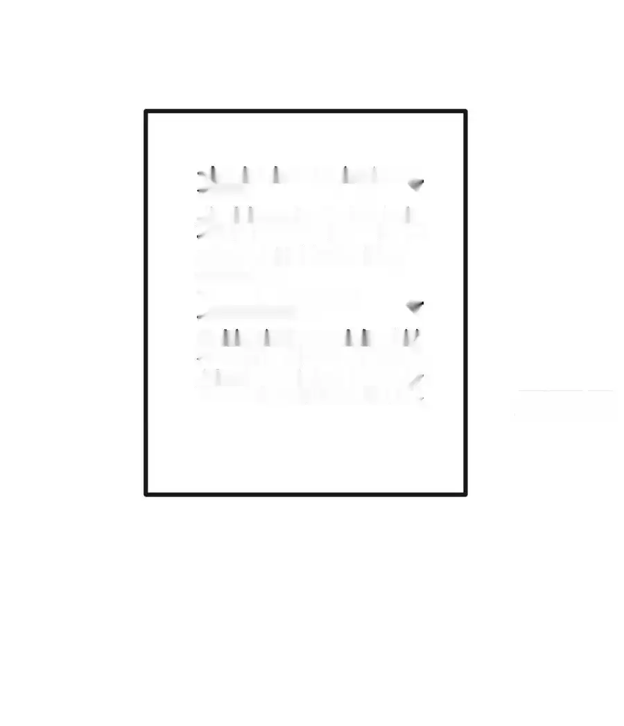 Read Infinite Evolution From Scratch ar Manga Online