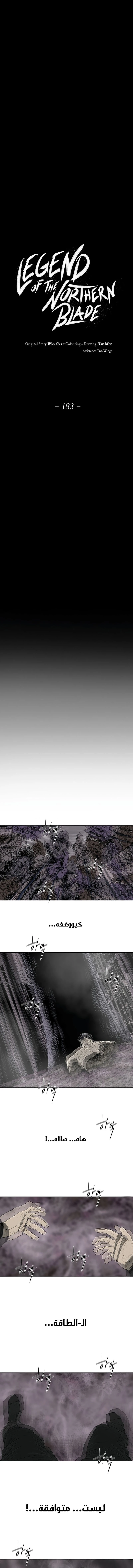 Read Legend of the Northern Blade ar Manga Online