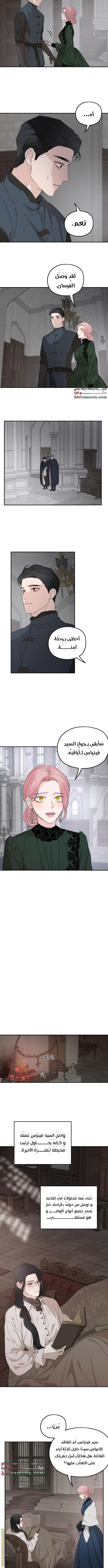 Read My in-laws are obsessed with me ar Manga Online