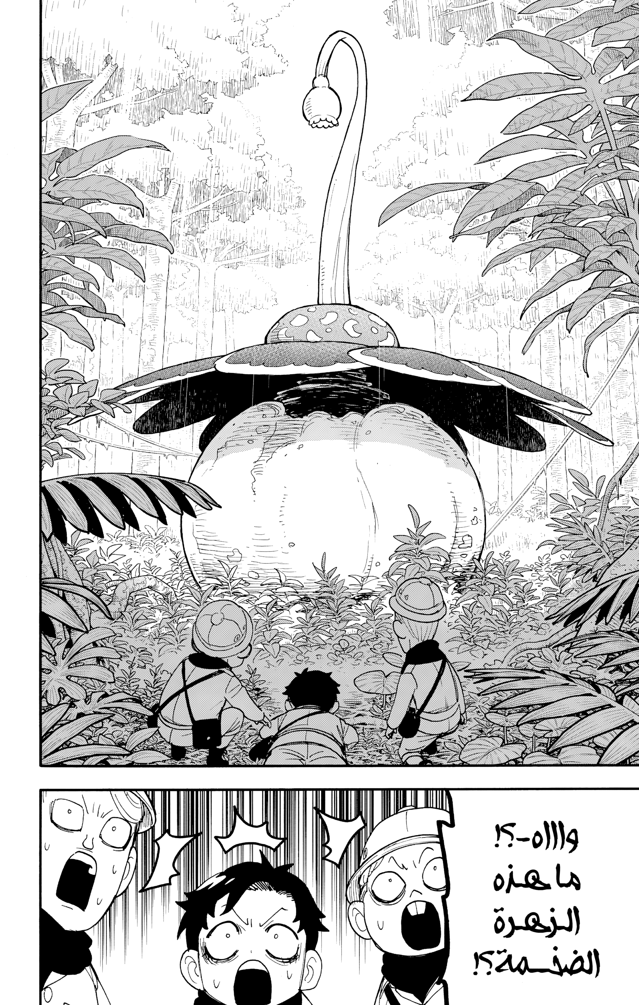 Read Spy x Family ar Manga Online