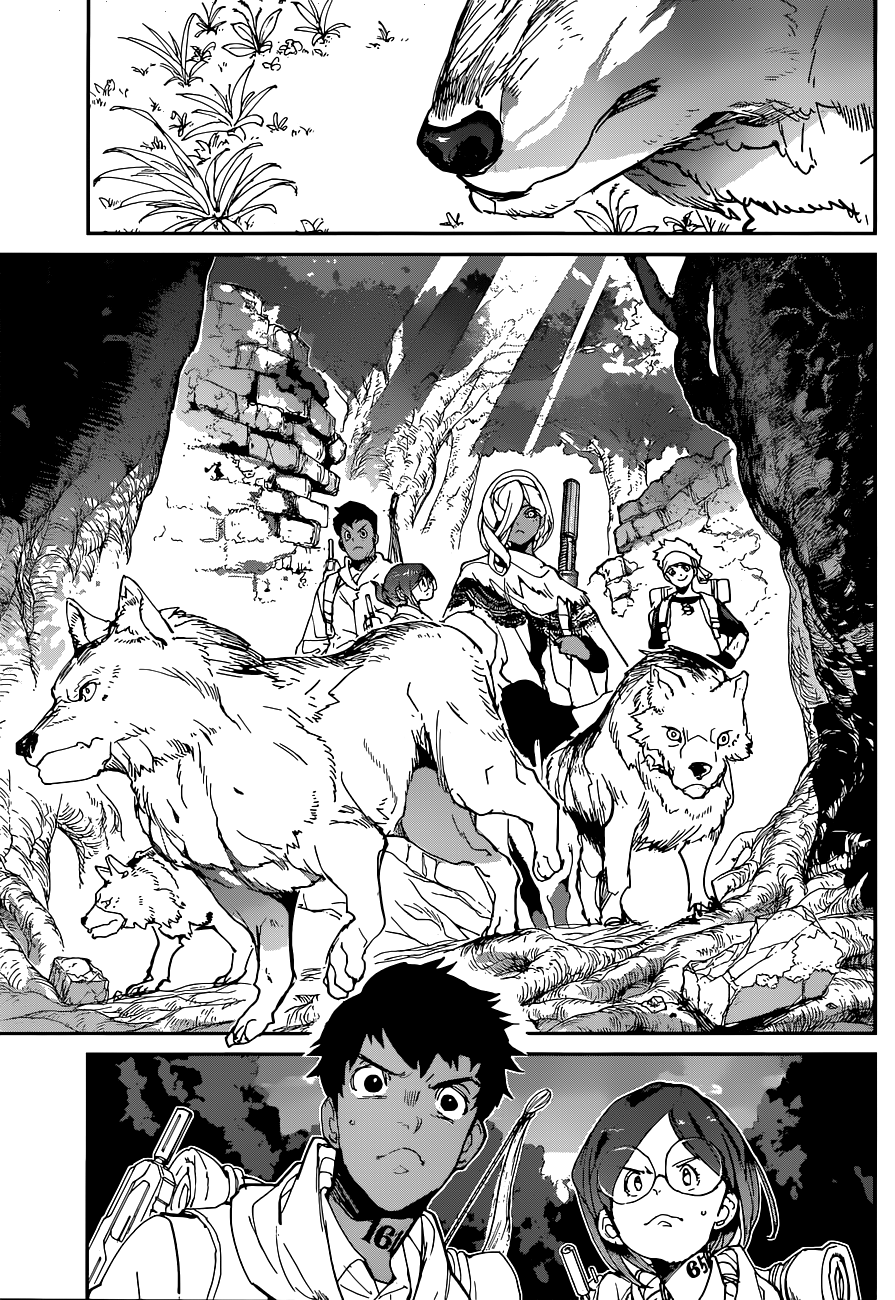 Read The Promised Neverland ar Manga Online