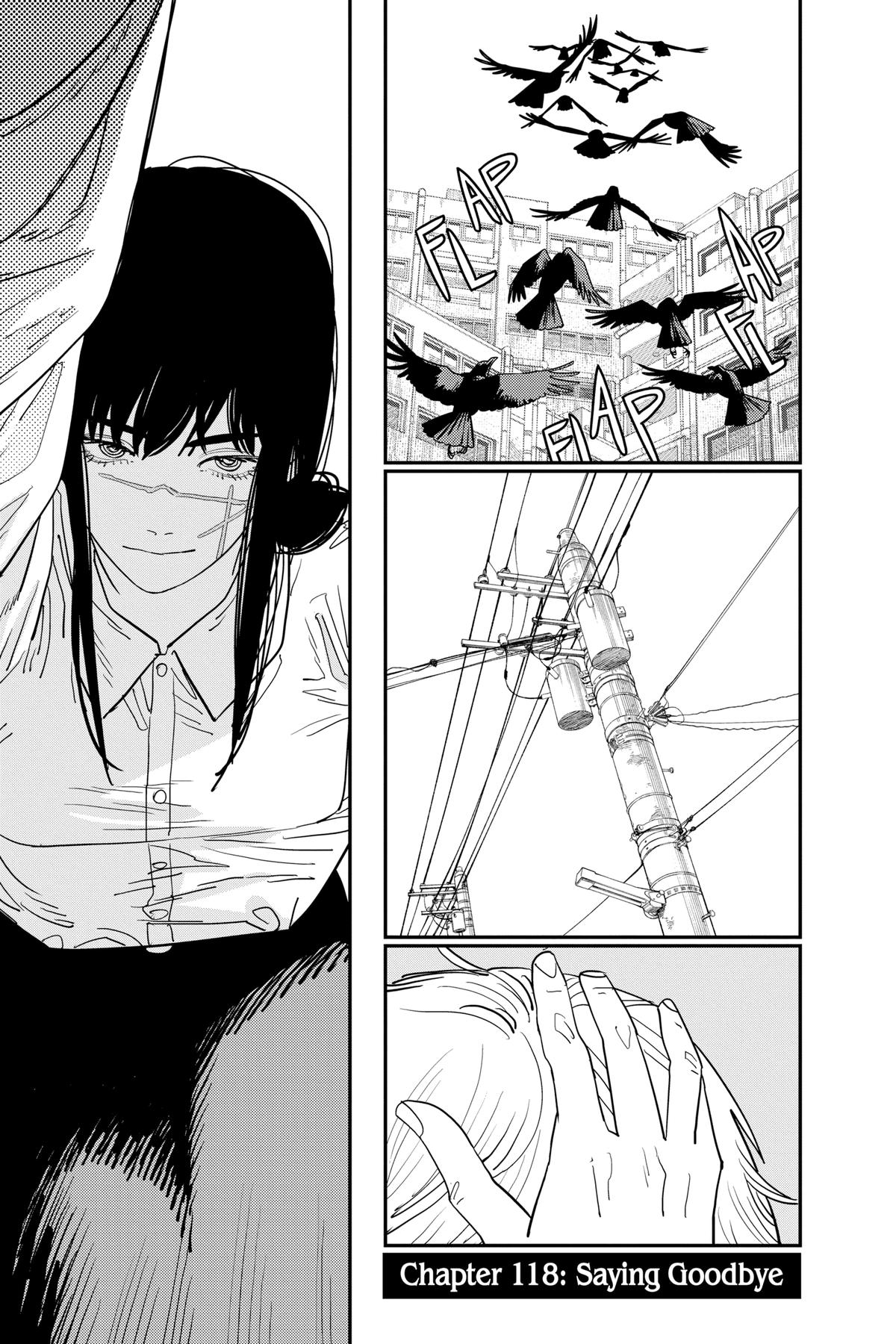 Read Chainsaw Man Manga Online