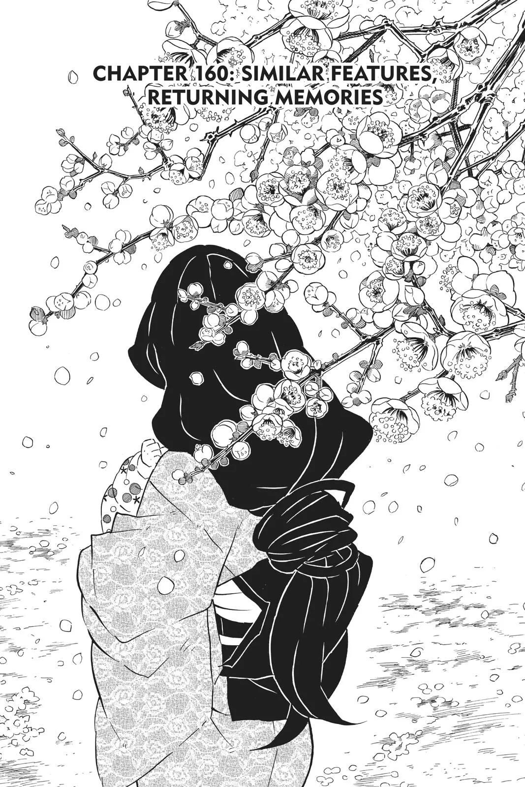 Read Demon Slayer - Kimetsu no Yaiba Manga Online