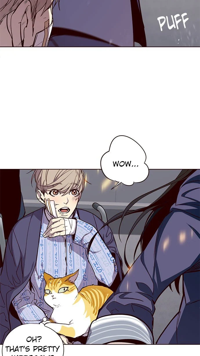 Read Eleceed Manga Online