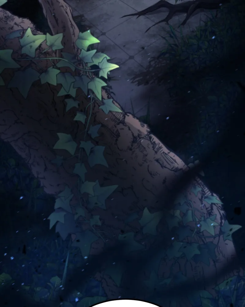 Read How to Live as an Illegal Healer Manga Online