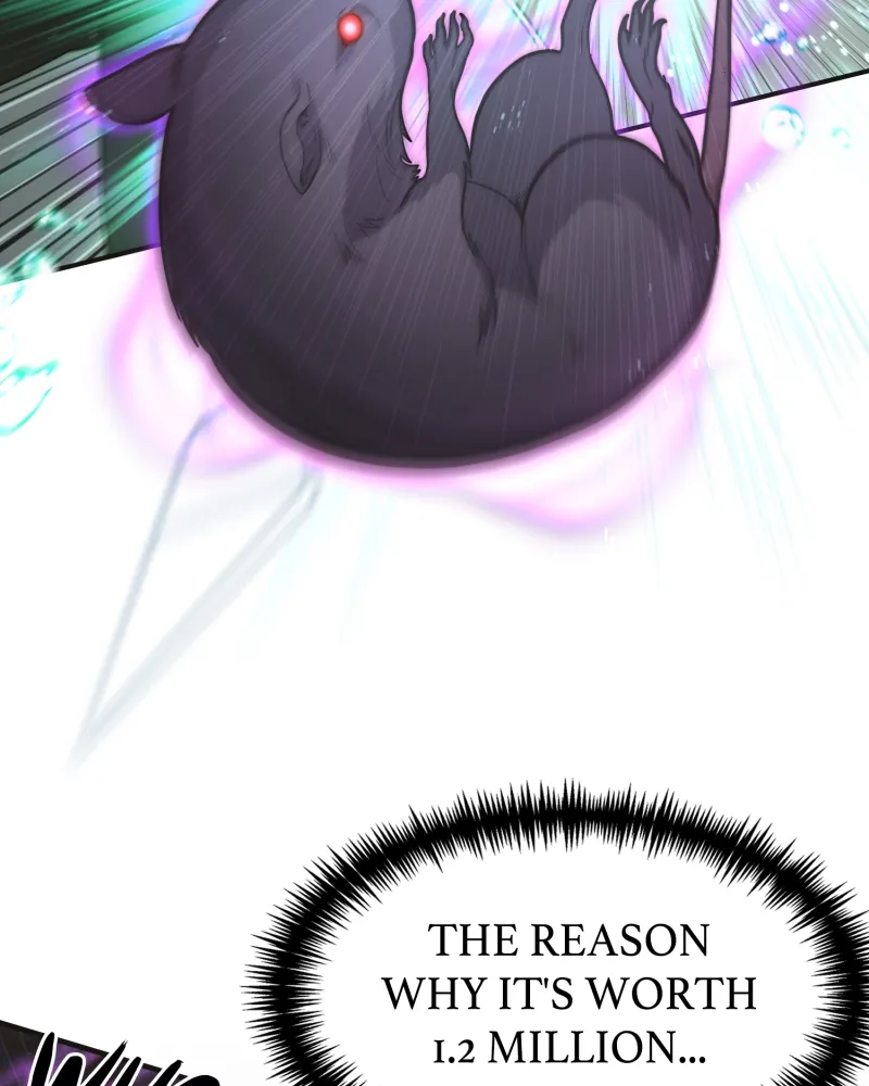 Read How to Live as an Illegal Healer Manga Online