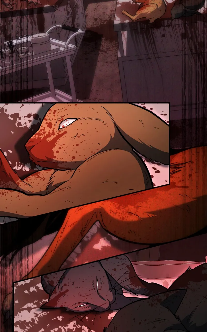 Read How to Live as an Illegal Healer Manga Online