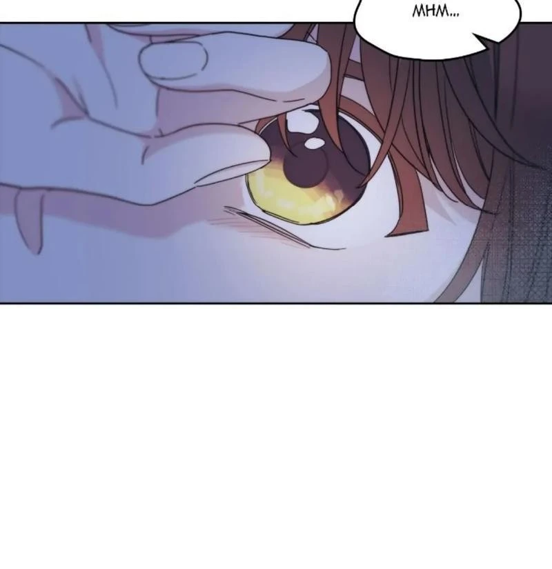 Read Inso’s Law Manga Online