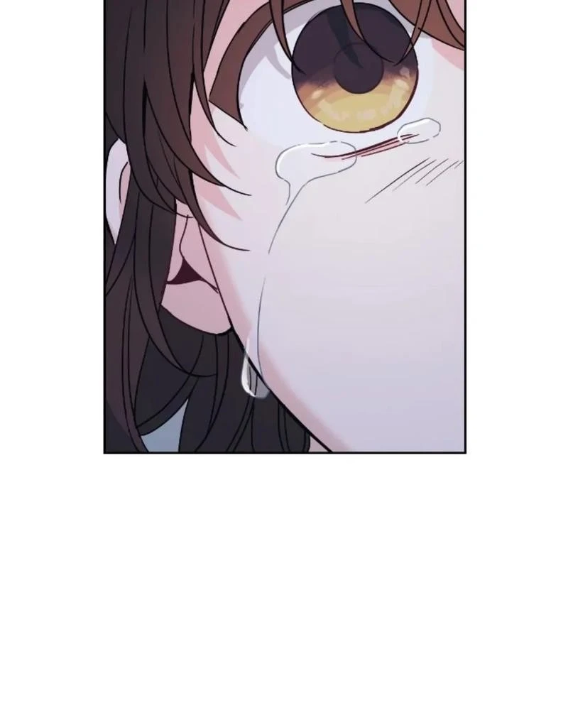 Read Inso’s Law Manga Online