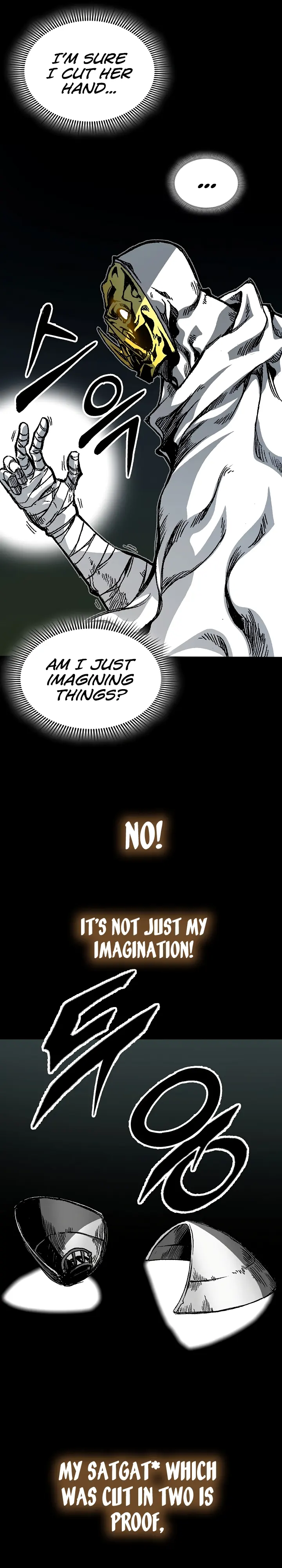 Read Memoir Of The King Of War Manga Online