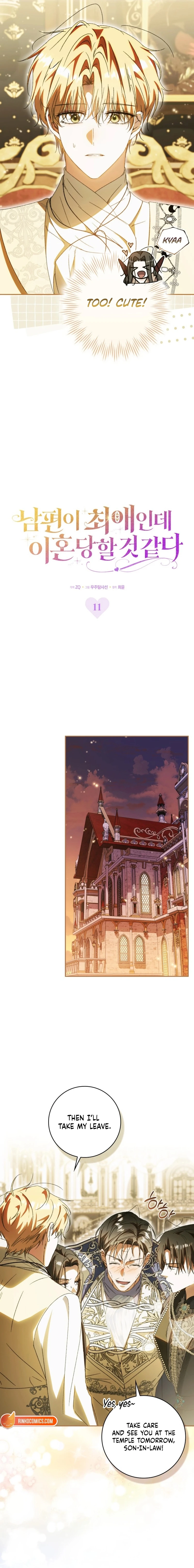 Read My Husband Is My Favorite, but I Think I'm Going to Get Divorced Manga Online