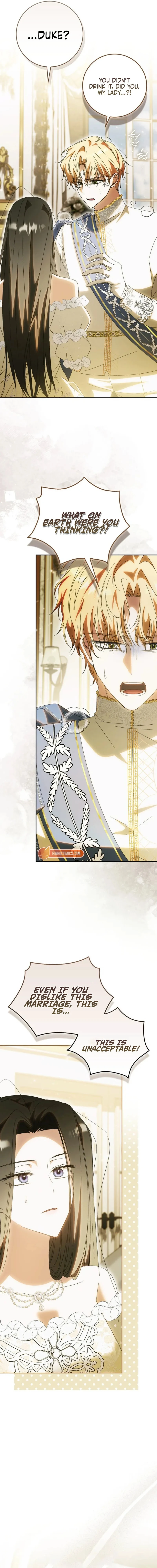 Read My Husband Is My Favorite, but I Think I'm Going to Get Divorced Manga Online