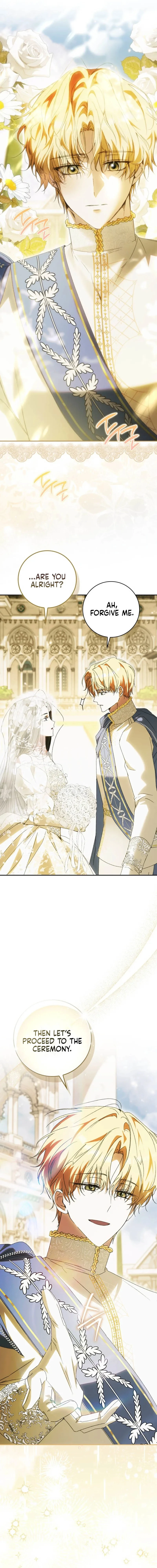 Read My Husband Is My Favorite, but I Think I'm Going to Get Divorced Manga Online