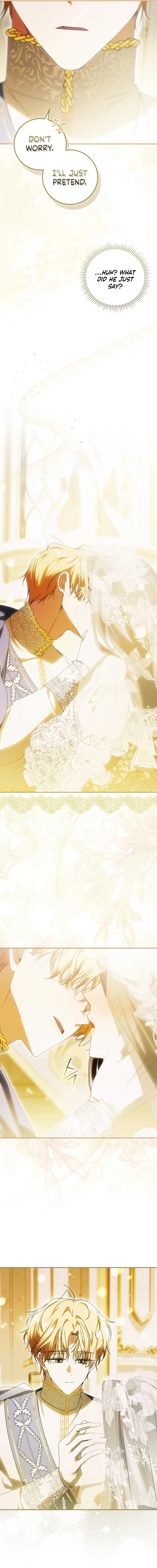 Read My Husband Is My Favorite, but I Think I'm Going to Get Divorced Manga Online