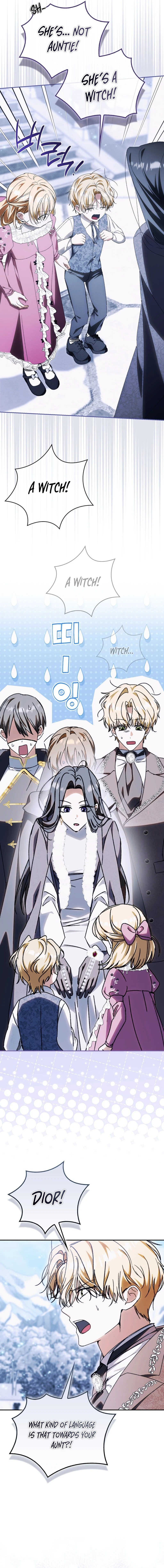 Read My Husband Is My Favorite, but I Think I'm Going to Get Divorced Manga Online