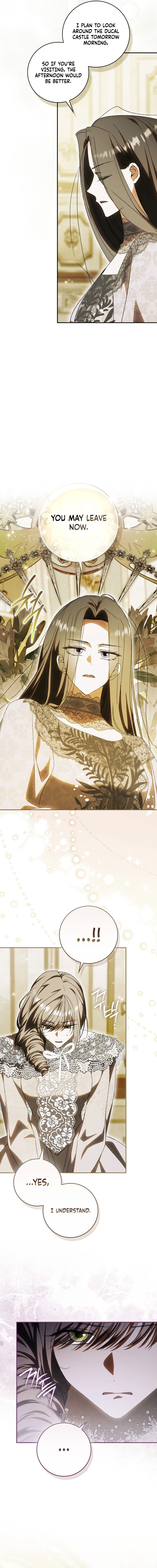 Read My Husband Is My Favorite, but I Think I'm Going to Get Divorced Manga Online