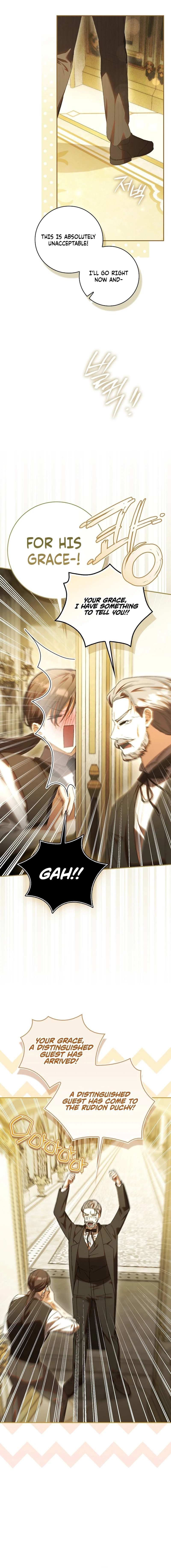 Read My Husband Is My Favorite, but I Think I'm Going to Get Divorced Manga Online