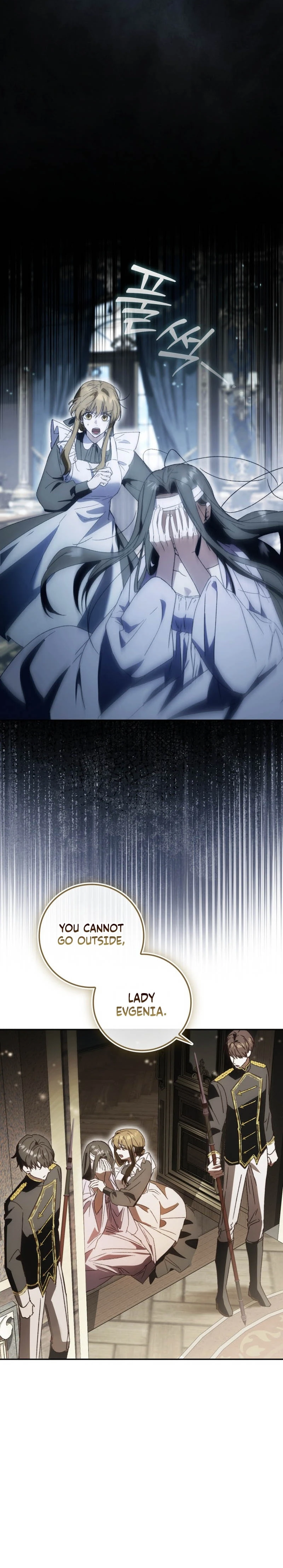 Read My Husband Is My Favorite, but I Think I'm Going to Get Divorced Manga Online