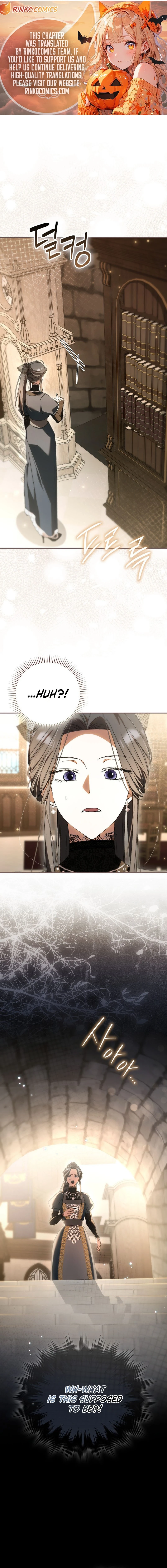 Read My Husband Is My Favorite, but I Think I'm Going to Get Divorced Manga Online