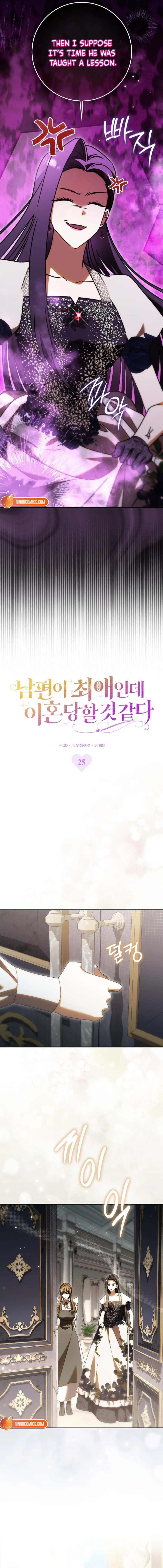 Read My Husband Is My Favorite, but I Think I'm Going to Get Divorced Manga Online