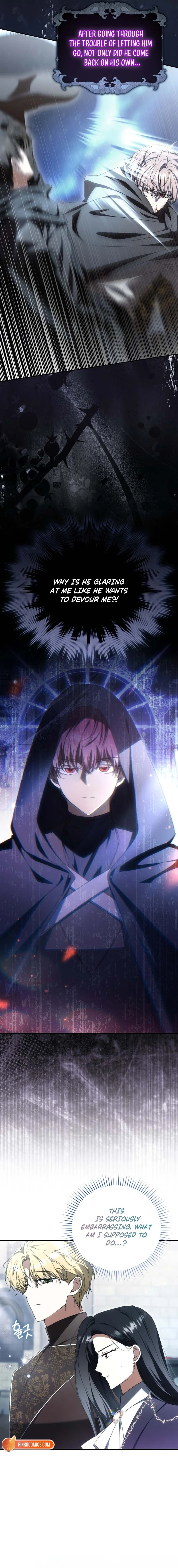 Read My Husband Is My Favorite, but I Think I'm Going to Get Divorced Manga Online