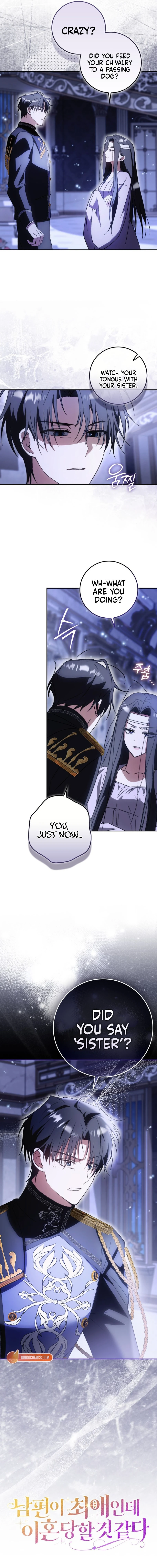 Read My Husband Is My Favorite, but I Think I'm Going to Get Divorced Manga Online