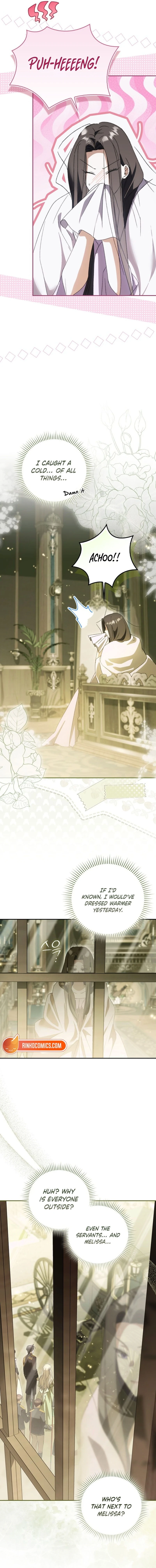 Read My Husband Is My Favorite, but I Think I'm Going to Get Divorced Manga Online