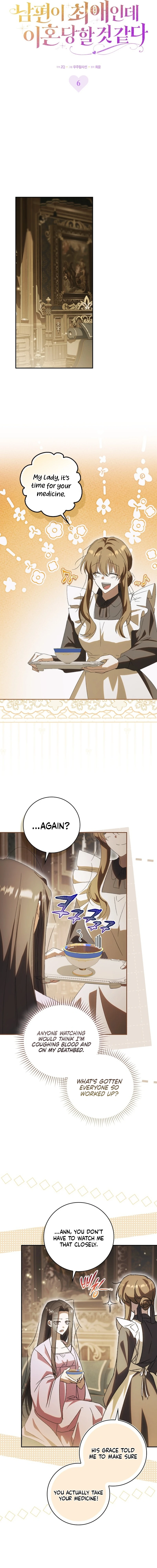 Read My Husband Is My Favorite, but I Think I'm Going to Get Divorced Manga Online