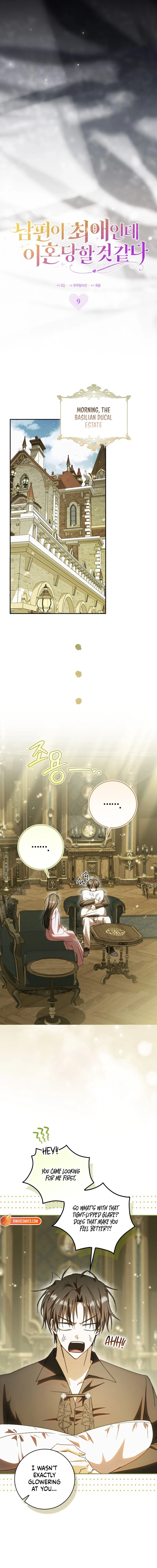 Read My Husband Is My Favorite, but I Think I'm Going to Get Divorced Manga Online