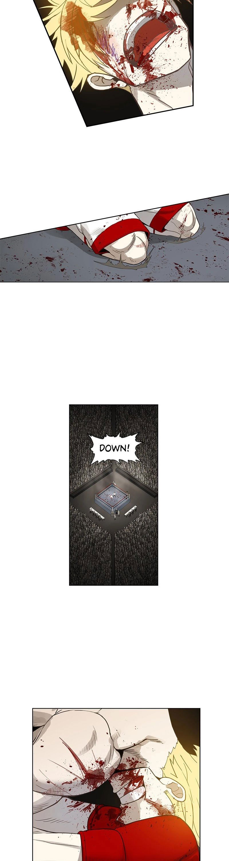 Read The Boxer Manga Online