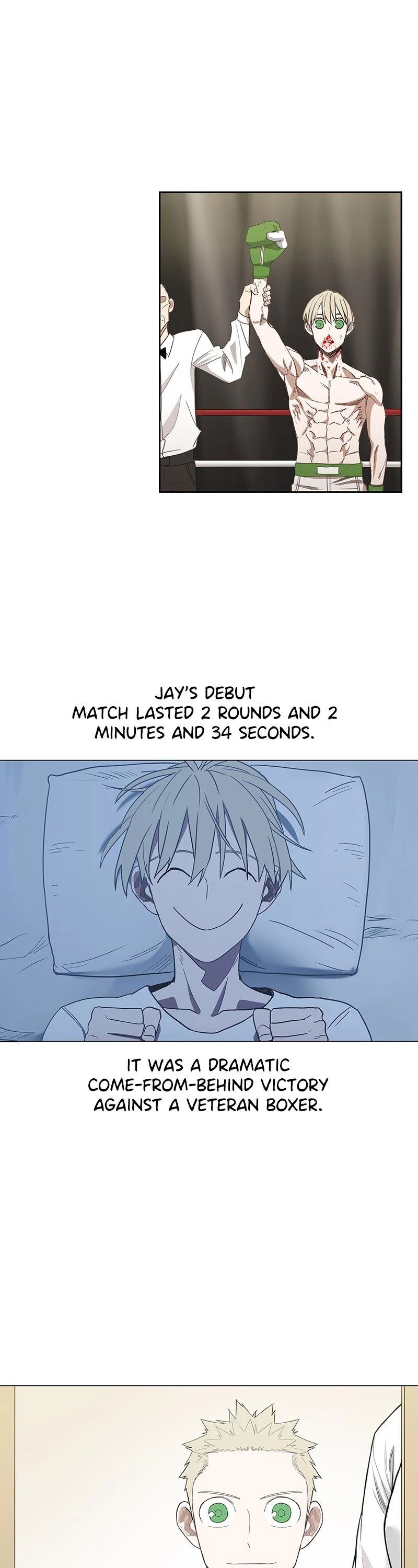 Read The Boxer Manga Online