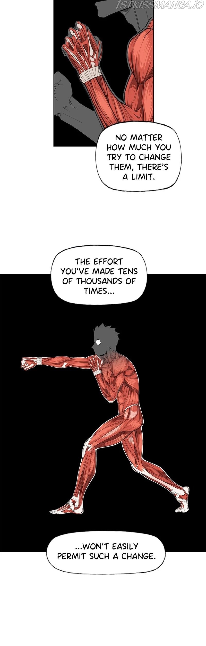 Read The Boxer Manga Online