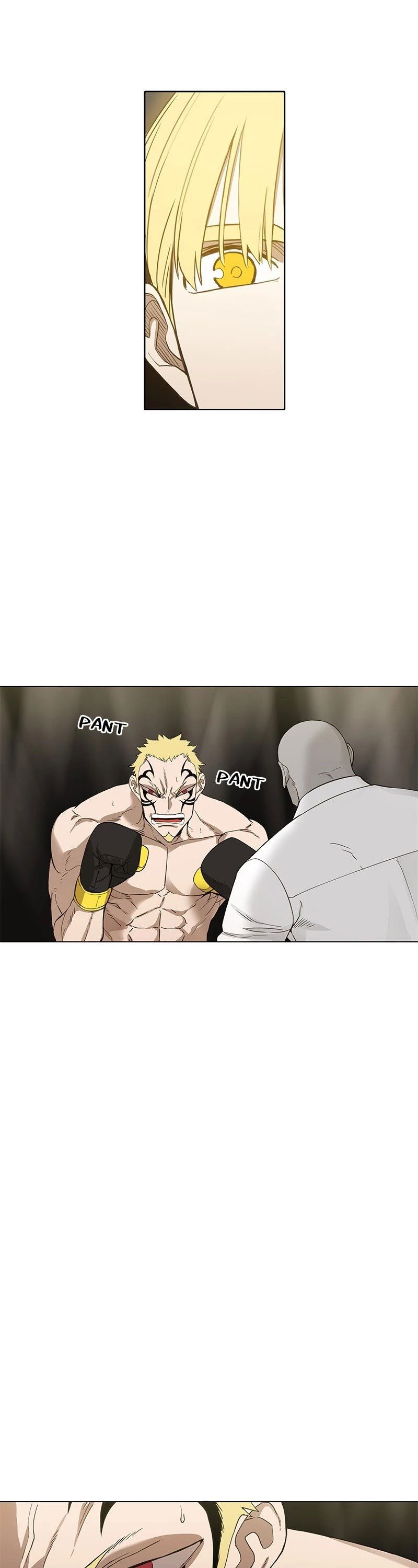 Read The Boxer Manga Online