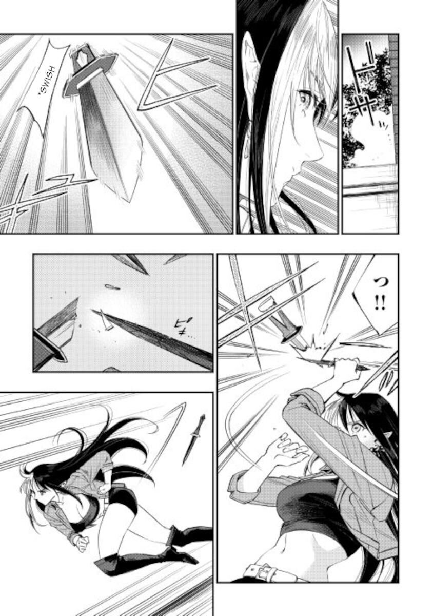 Read The New Gate Manga Online