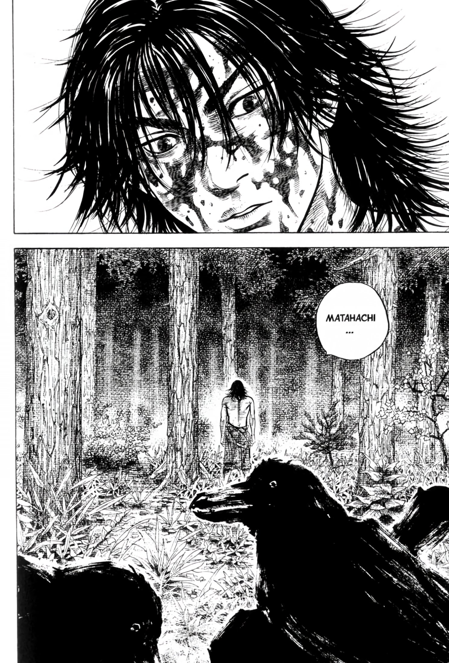 Read Vagabond Manga Online