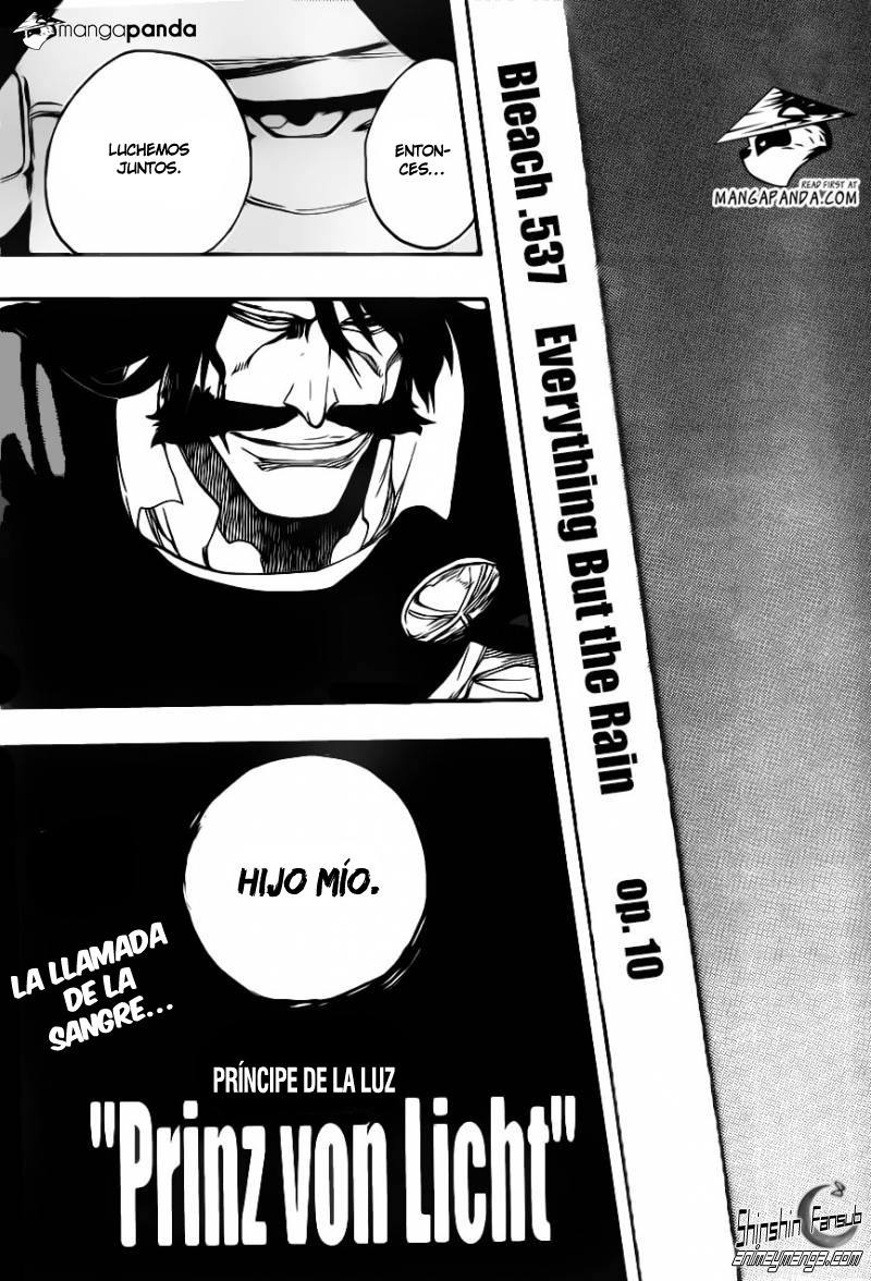 Read Bleach es Manga Online