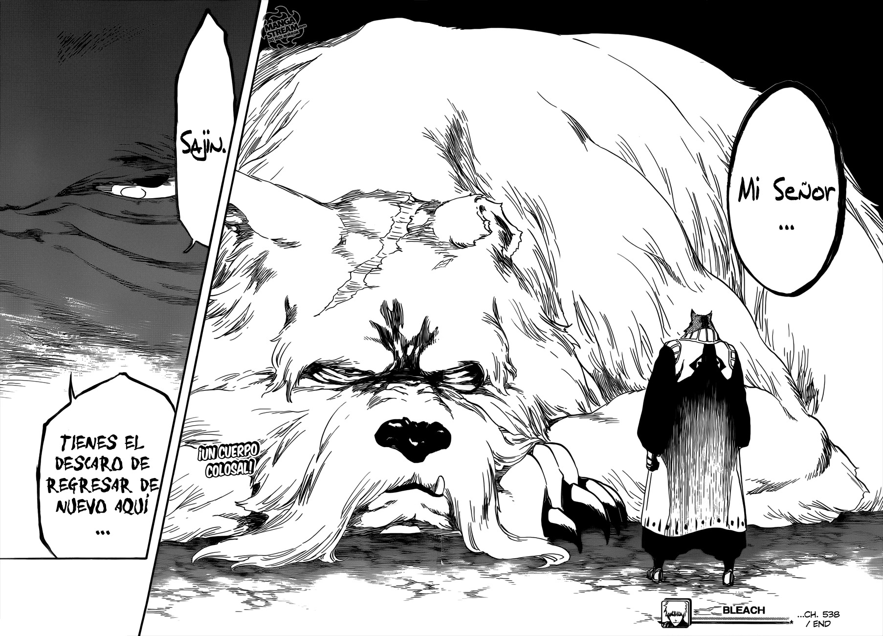 Read Bleach es Manga Online