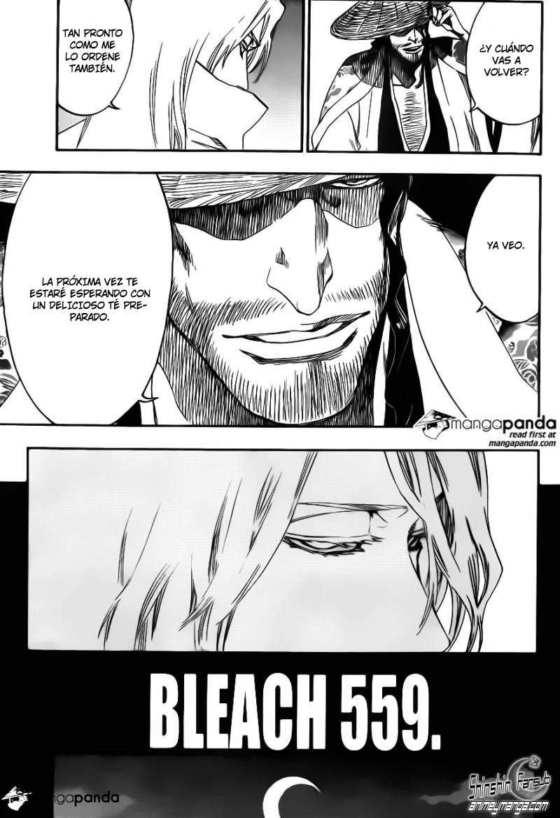 Read Bleach es Manga Online
