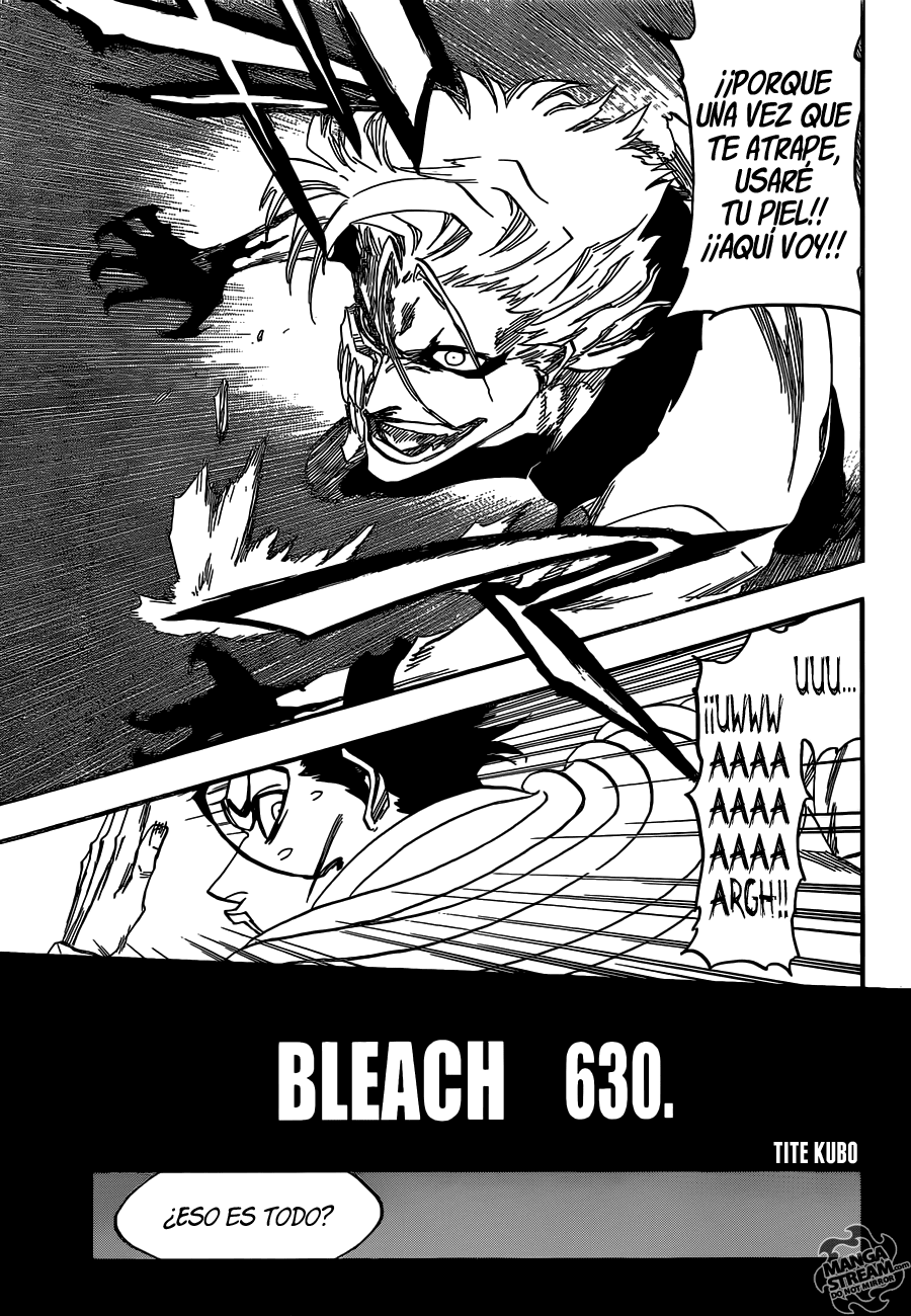 Read Bleach es Manga Online