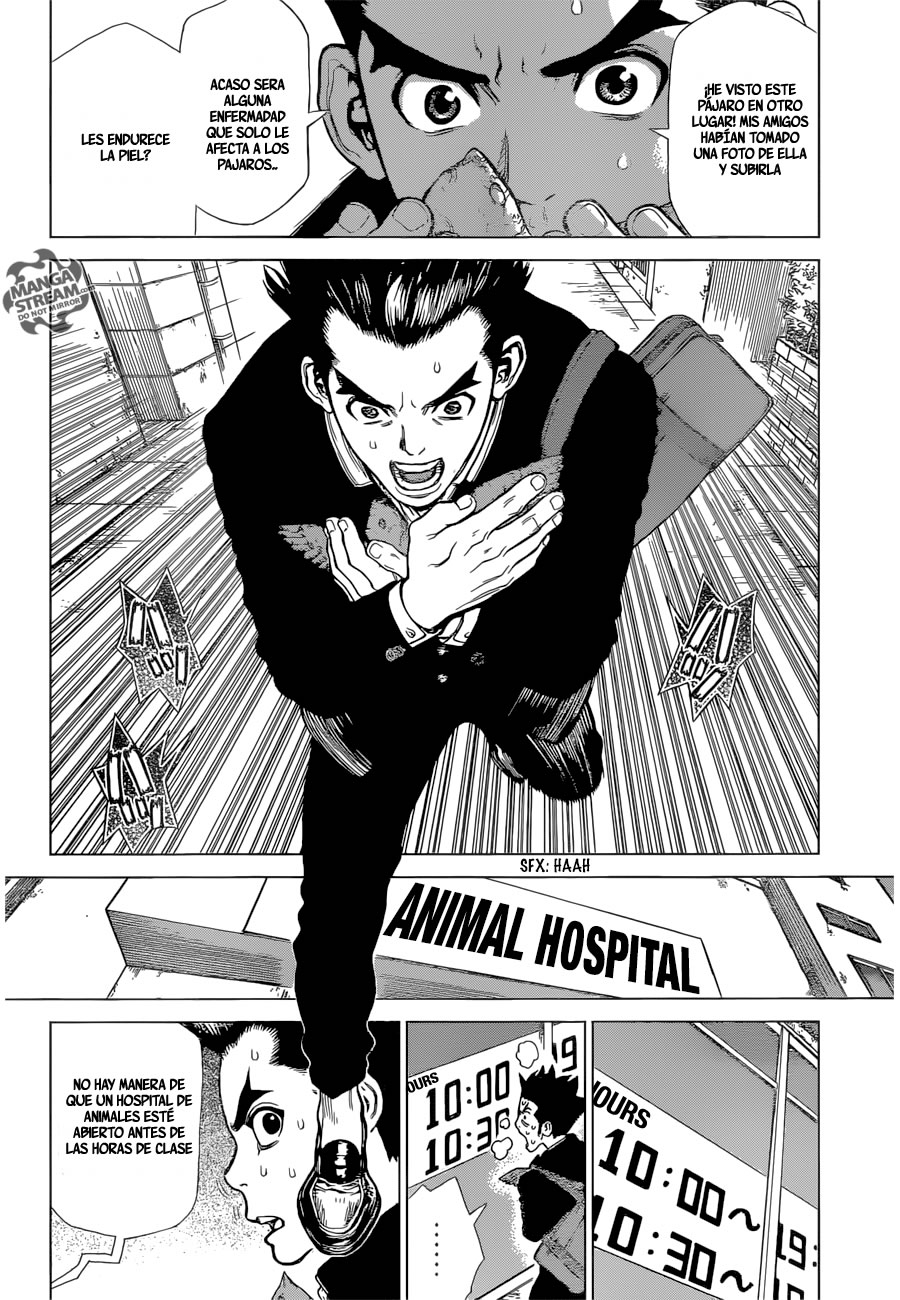 Read Dr. Stone es Manga Online