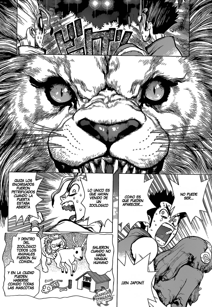 Read Dr. Stone es Manga Online